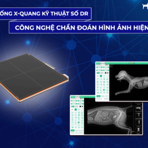 Máy x-quang kỹ thuật số DR thú y