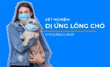 Xét Nghiệm Dị Ứng Lông Chó Và Thông Tin Cần Biết